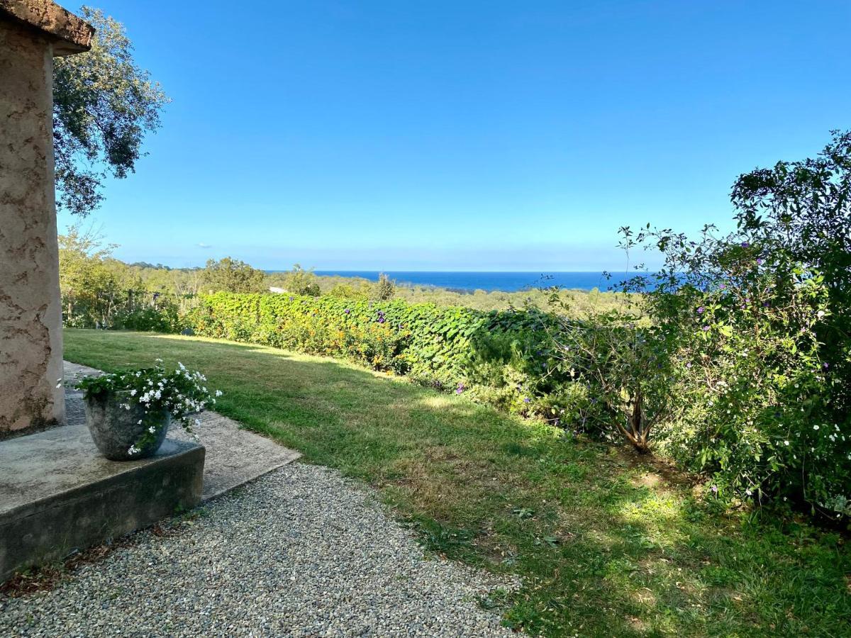 Domaine Punta Della Guardia Villa Panorama Maquis Et Mer, Plage A 1,5 Km Cervione Exterior photo