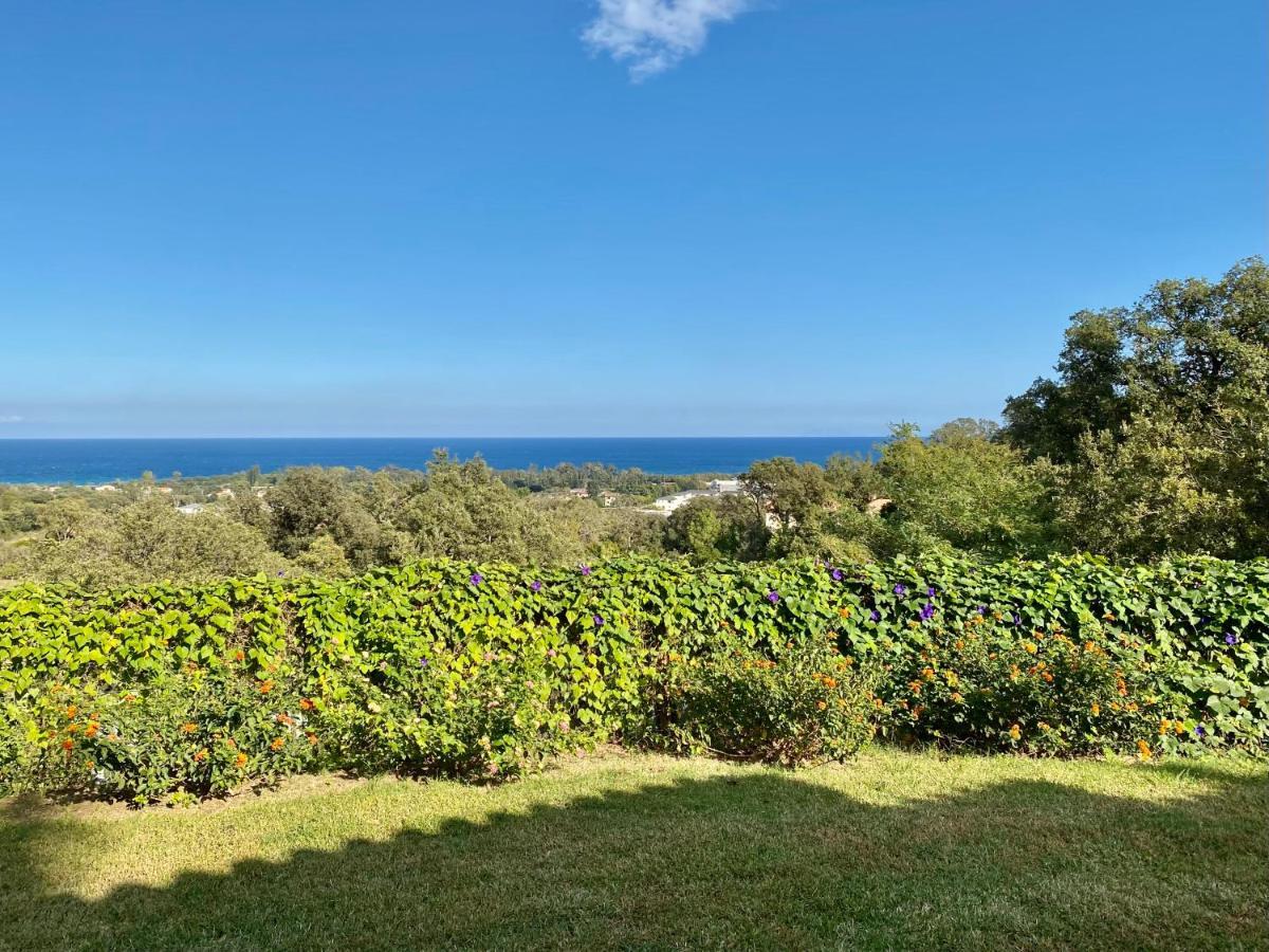 Domaine Punta Della Guardia Villa Panorama Maquis Et Mer, Plage A 1,5 Km Cervione Exterior photo